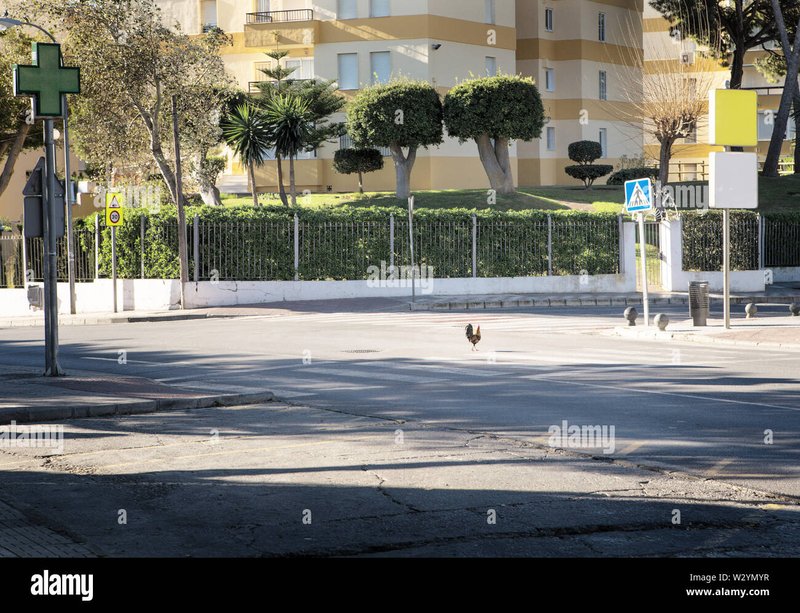Descubre las Apuestas Exclusivas en el Prolífico Juego de Azar de Chicken Road in Spain